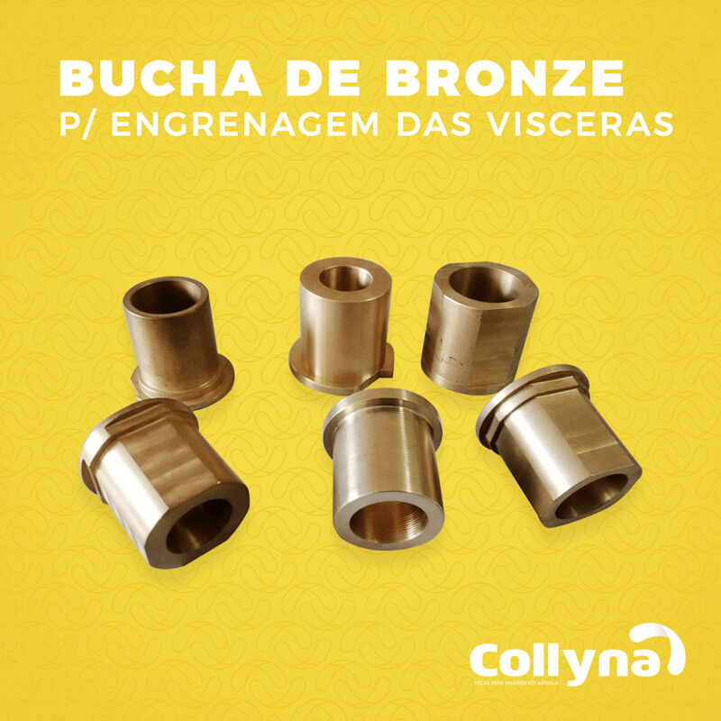 Bucha de bronze para engrenagem das vísceras