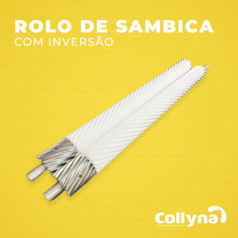 Rolo de sambica com Inversão